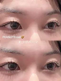 【🌸ご新規様4月限定価格✨️】まつ毛パーマorパリジェンヌ✨️"おひとり様1回のみ" お店に来たことない方限定✨️