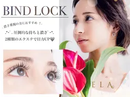 バインドロック60束