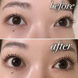 ✨ New❣️マスカラパーマ × ブラックティント(TR付き)