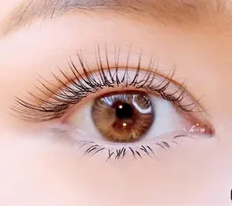 特別価格🌟オフ無料🌟バインドロック140本(70束)