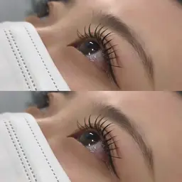 オフ込みフラットラッシュ 140本