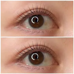 ✨初回✨ ラッシュリフト 《高濃度ケラチン+コーティング付》