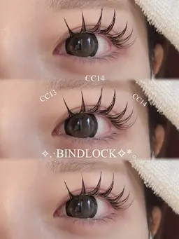 バインドロック100束💫