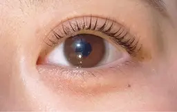 🎀まつ毛パーマ🎀／パリジェンヌ風も🙆コーティング付き👀