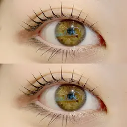 【平日限定】🎀まつげパーマ/ラッシュリフト