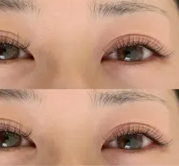 セーブルorフラットラッシュ120本（オフ込み）