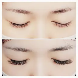 【自然な濃さ】ダブルフラット 80束