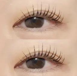 パリジェンヌラッシュリフト上下【ミニモ特別価格】