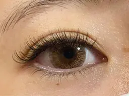 【新規】LEDボリュームラッシュMIX 240本 6980円🍎ボリュームラッシュとフラットをLEDでお付けします🍎