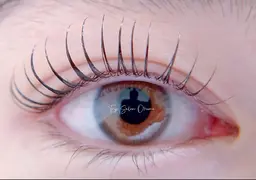 🌵新規のみ🍍4月＆5月限定価格💕まつ毛パーマ(上)最新LEDコーティングまつ毛パーマ🩷