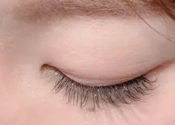 🦋フラットラッシュ120本(オフ、コーティング込み)