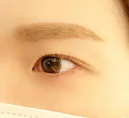 アイブロウ♡美眉スタイリング♡WAX脱毛(仕上げメイク無し❌)