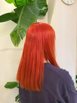 ブリーチカラーモデル