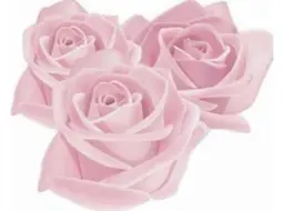 【何度でも◎】(上半身or下半身脱毛) プレミアム保湿付⭐¥7700