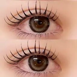 フラットラッシュ🪽つけ放題　/    通常¥7200→¥6900