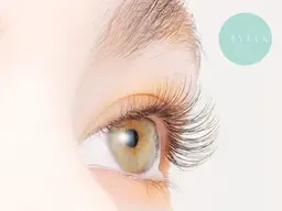 【密度が出る】ボリュームラッシュ300本(3D)💞‎初回オフ無料◎‎𓊆ご新規様、顧客様𓊇 6600円