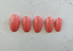 ワンカラー（オフ無）【全てマグネットジェルにした場合は＋1,000円】