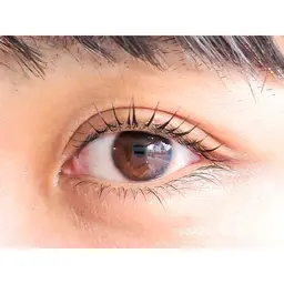 上下ケラチンラッシュリフト(上下トリートメントまつげパーマ)