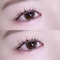 上下パリジェンヌラッシュリフト🩰💭♡