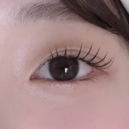 【4月限定】オフ有り🥀マツエク 160本まで✨️トリートメント・コーティング仕上げ🥀【飯田橋/神楽坂】