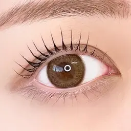 minimo限定🩷半額施術【パリジェンヌorラッシュリフト】