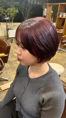 【平日限定✨️】シングルカラー