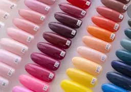 オフあり✨パラジェル❣️ワンカラー、ラメグラ、カラグラ(ストーンなし)