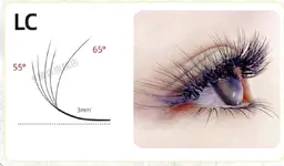 NEW話題 立体的な5Dボリュームラッシュつけ放題 9980→7980