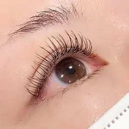 アップワードラッシュ100本(8050円〜)、120本(9050円〜)、140本(9850円〜)☆オフ込み