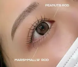 🍄今週限定🍄眉毛ワックス&まつげパーマメニュー⚠️現金支払いのみ