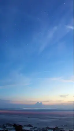 😌【深呼吸したくなる極上スパ】20分アロマヘッドスパ+カット