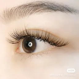 3Dボリュームラッシュ120束