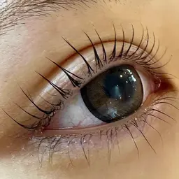 ラッシュリフト 上下