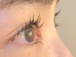 ベーシック まつ毛パーマ