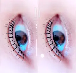 minimo限定価格🩷ラッシュリフト（コーティング付き）