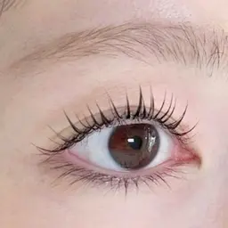 ✨️🤍パリジェンヌ🤍✨️