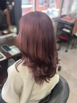 🤍ྀི全頭ブリーチ+オンカラー🤍ྀིorブリーチリタッチ2cm以上(ブリーチしてから2ヶ月以上経っている)の方