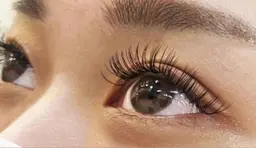 【4月限定★】バインドロック80束(240本)オフ込¥6000