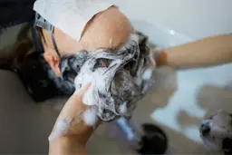 【福岡No.1】炭酸クレンジングスパ💆‍♀️‪‪𓂃 𓈒𓏸◌‬