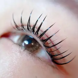 フラットラッシュ140本