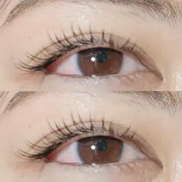 フラットラッシュ60本