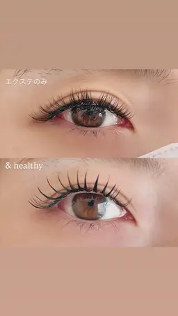 【期間限定🌸& Healthy】フラットラッシュ100本