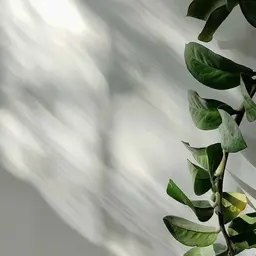 ○Paraジェル/Hand French【付け替えオフ有り】