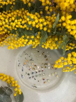 耳ツボジュエリー💎