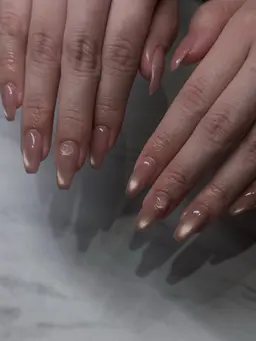 話題のenoi💡ぷるぷるマグネットワンカラー❕【オフあり】🔅 パラジェル/フィルイン/韓国ネイル/ワンホンネイル