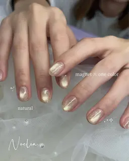 フラッシュ×マグネットワンカラー(オフ込み)