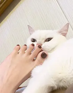 フットワンカラー「初回オフ無料」