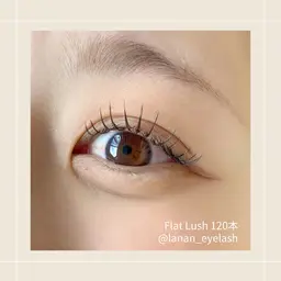 🌼︎︎人気NO.1🌼︎︎𓂃⟡.·フラットラッシュ120本¥6000→¥4500