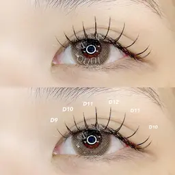 初回限定　flatlush　100本