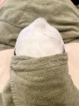 韓流肌🫧陶器肌トリートメント🫧白く引き締まったお肌へ💆🏻‍♀️✨くすみ・たるみでお悩みの方にオススメメニュー🌿